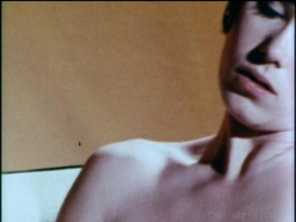 The Undergraduate Plus The Lost Films Of Suzanne Fields サンプル画像52