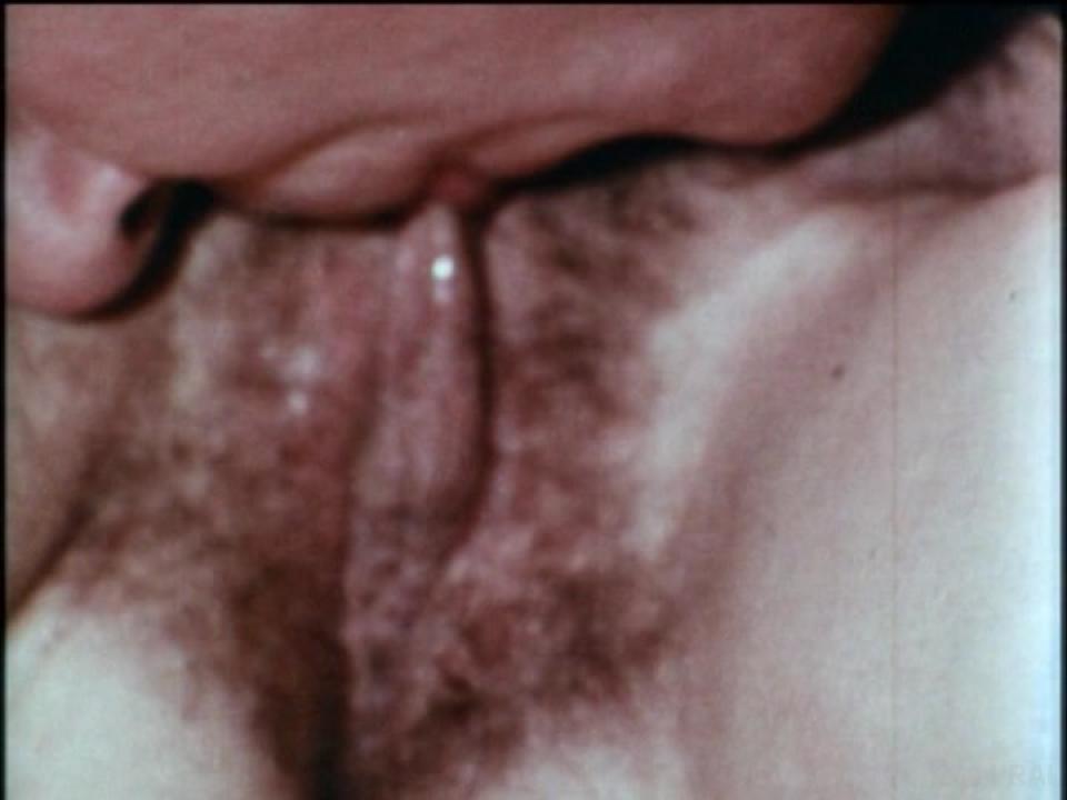 The Undergraduate Plus The Lost Films Of Suzanne Fields サンプル画像62