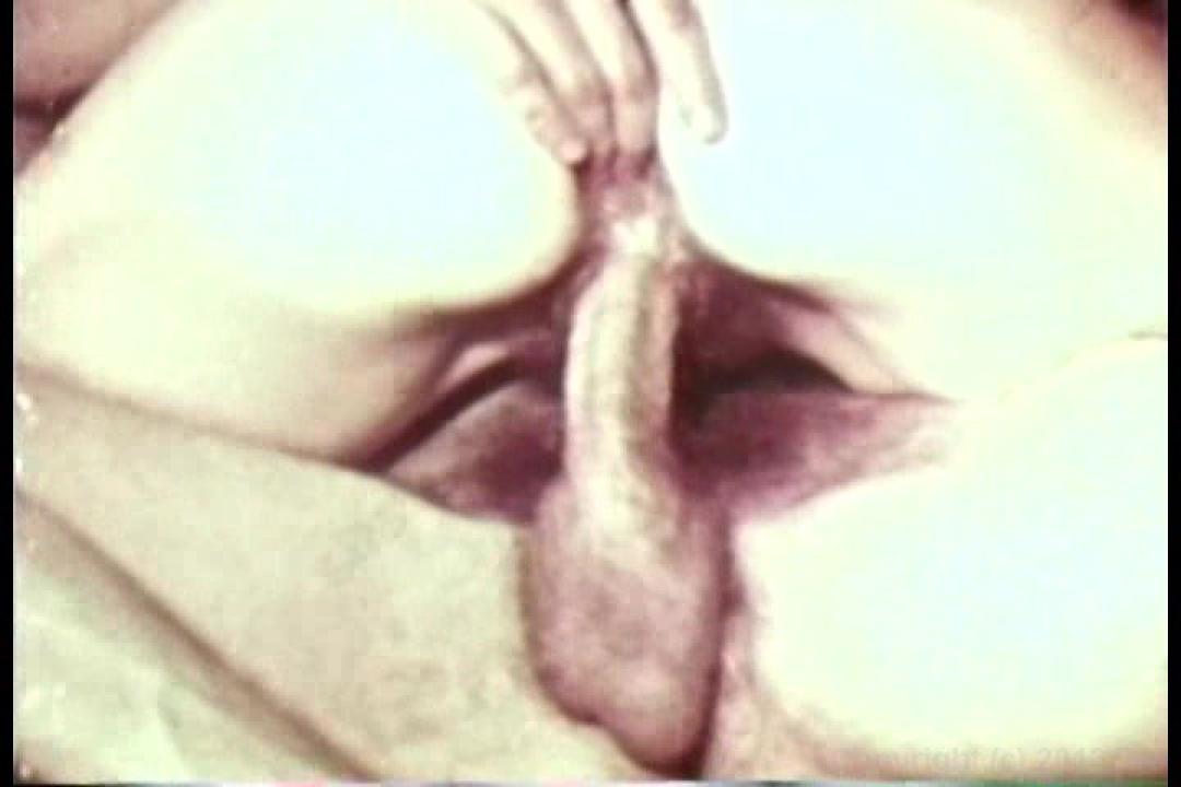 Big Tit Anal: Ultra Vixens In the 1970's サンプル画像7