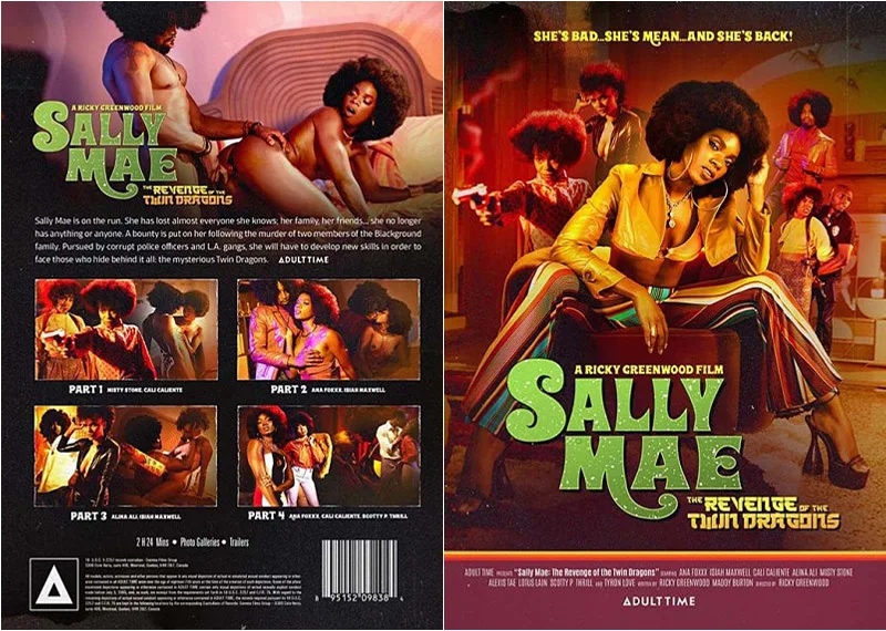 Sally Mae: The Revenge Of The Twin Dragons サンプル画像