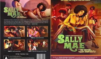 Sally Mae: The Revenge Of The Twin Dragons