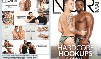 Hardcore Hookups 4