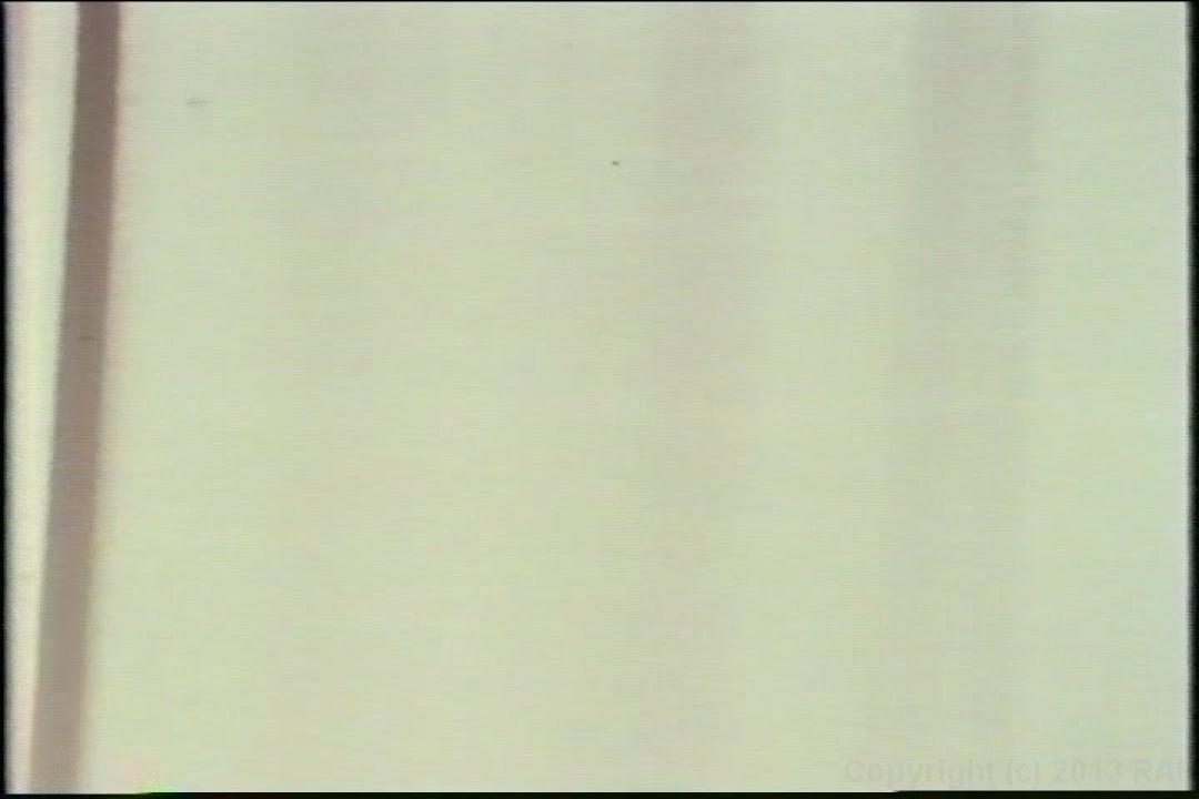 Marlene Willoughby Collection サンプル画像