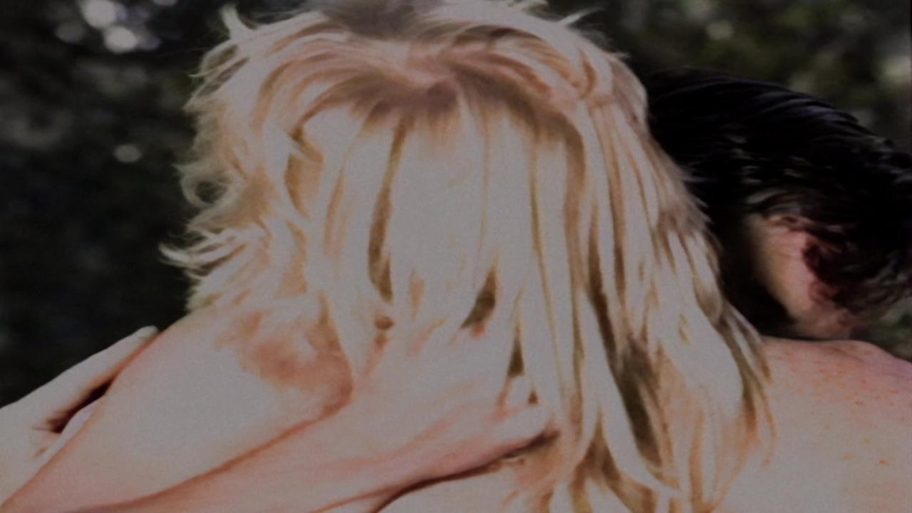 Honesty サンプル画像