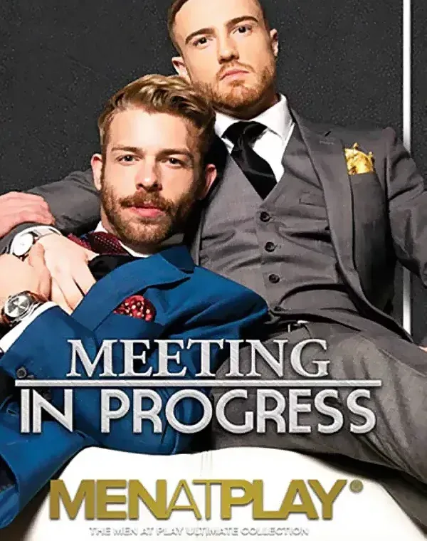 Meeting In Progressダウンロード