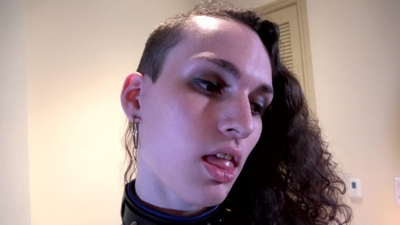 The TGirl Tryouts 3 サンプル画像
