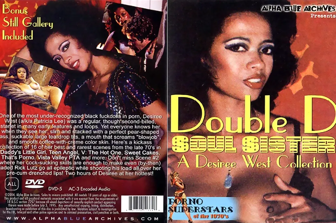 Double D Soul Sister: A Desiree West Collection