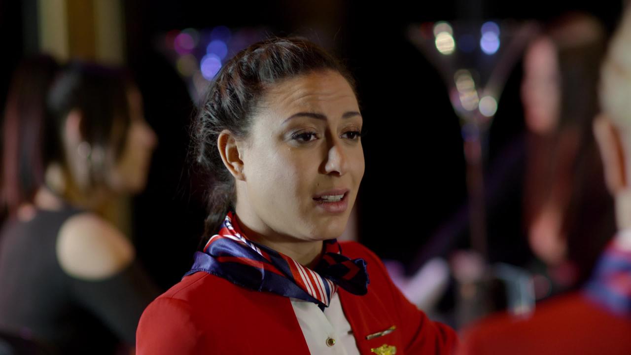 The Flight Attendants サンプル画像