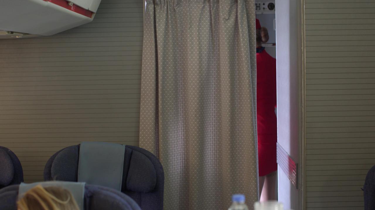 The Flight Attendants サンプル画像