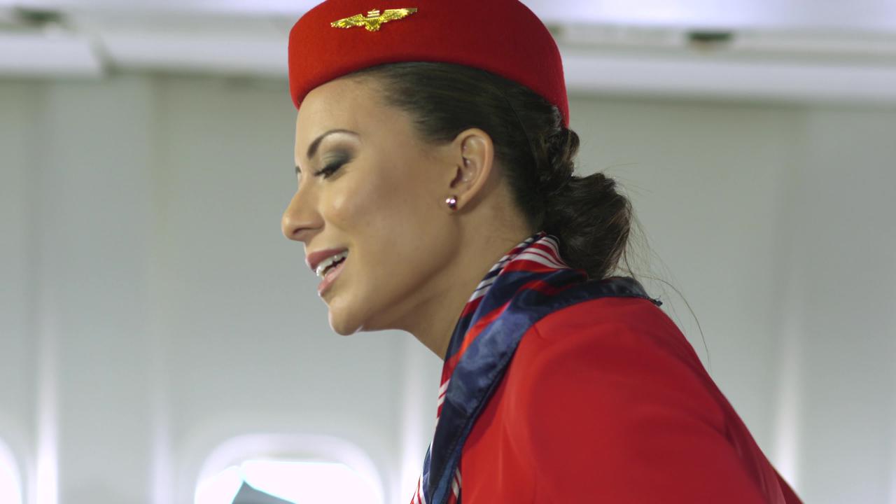The Flight Attendants サンプル画像