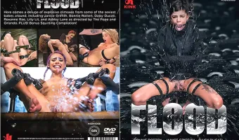 Flood