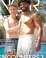 Steamy Encounters 3