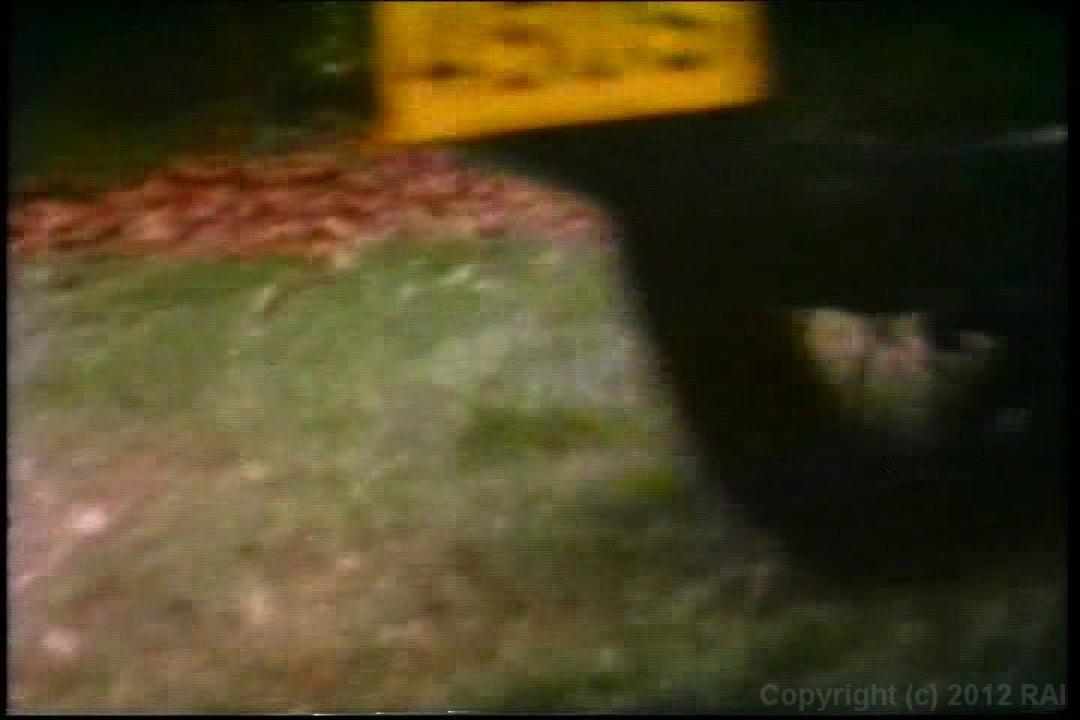 Eurosleaze: Non Stop Spunker サンプル画像2