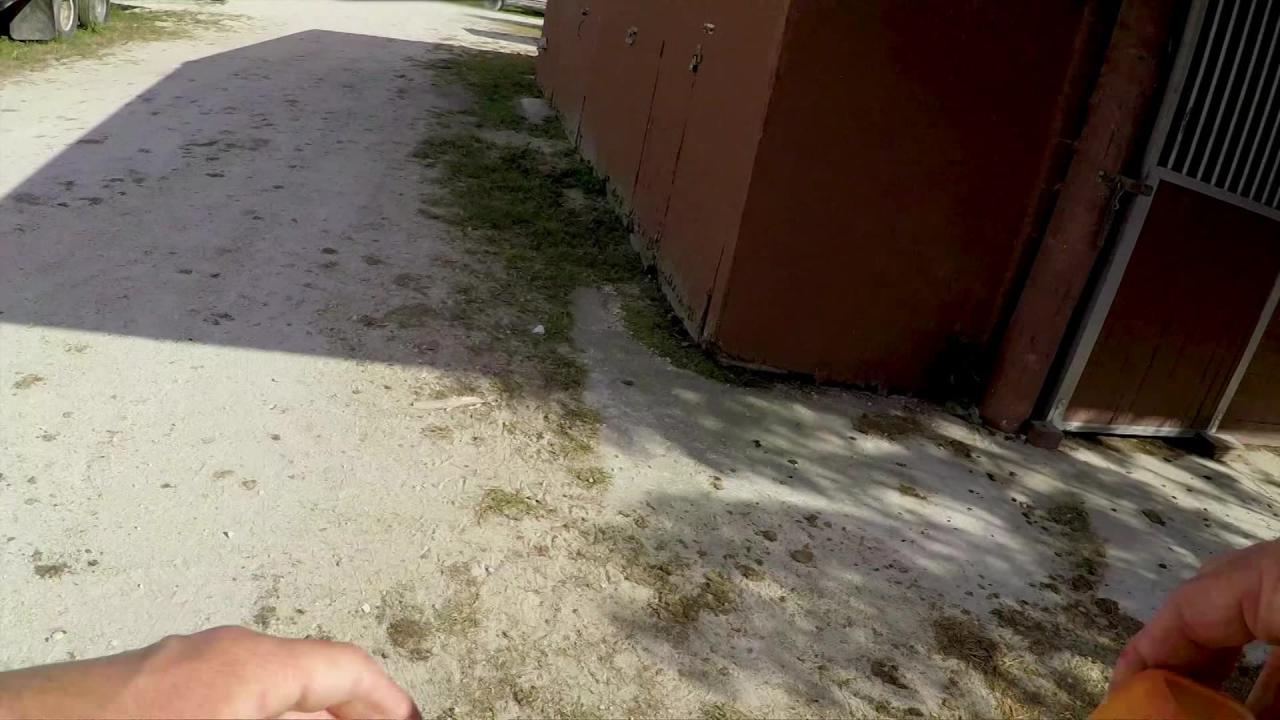 Roadside XXX 6 サンプル画像