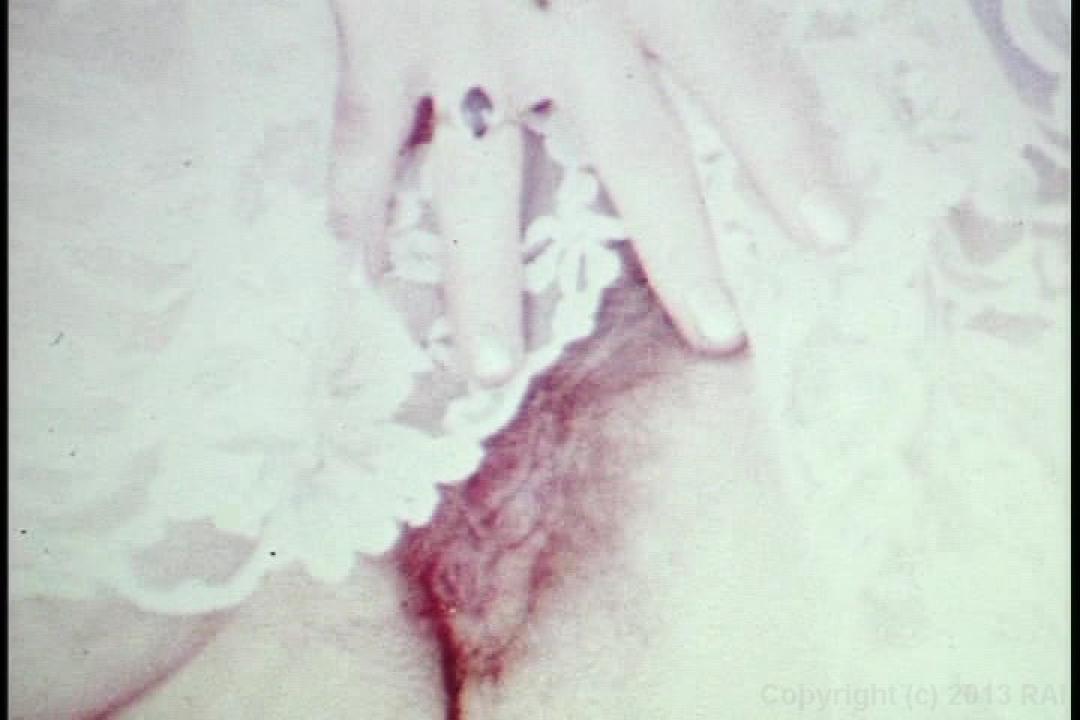 Monster Black Cocks サンプル画像