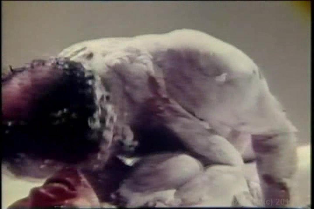 Uschi Digard Triple Feature 2 サンプル画像6