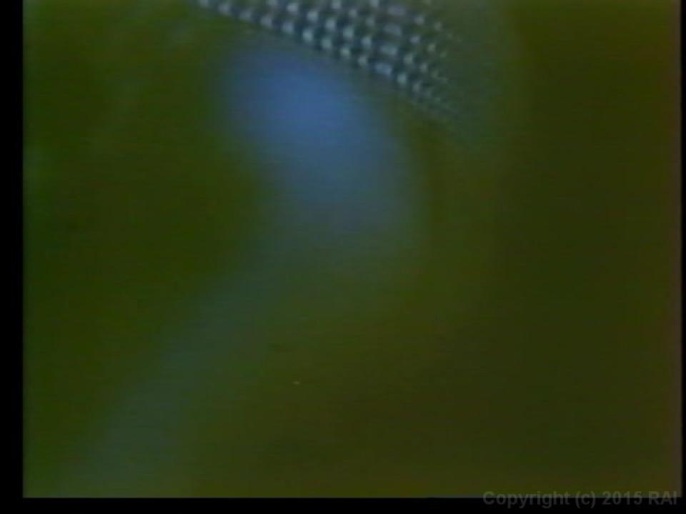 Fantasy In Blue Plus The Lost Films Of Sharon Thorpe サンプル画像