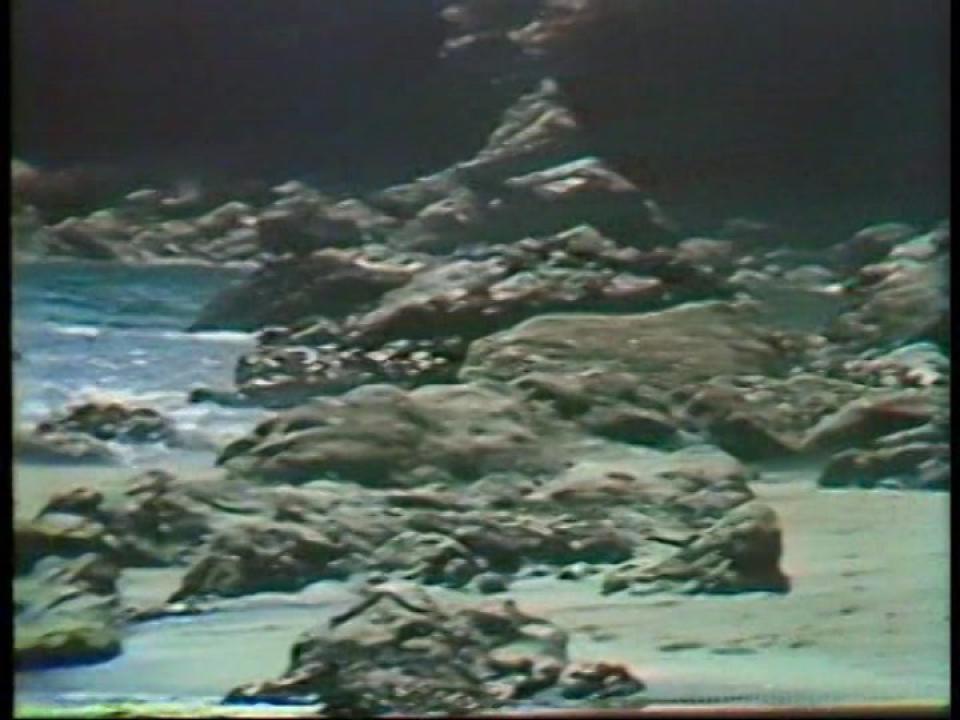 Fantasy In Blue Plus The Lost Films Of Sharon Thorpe サンプル画像