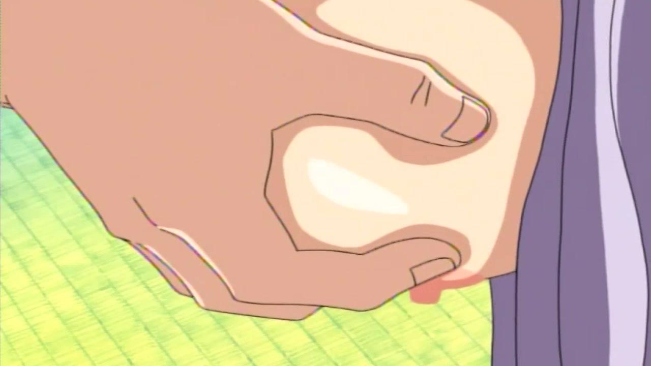 Hentai Vixens サンプル画像