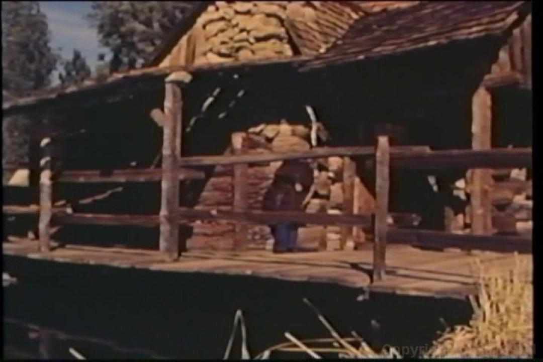 Uschi Digard Triple Feature 4 サンプル画像