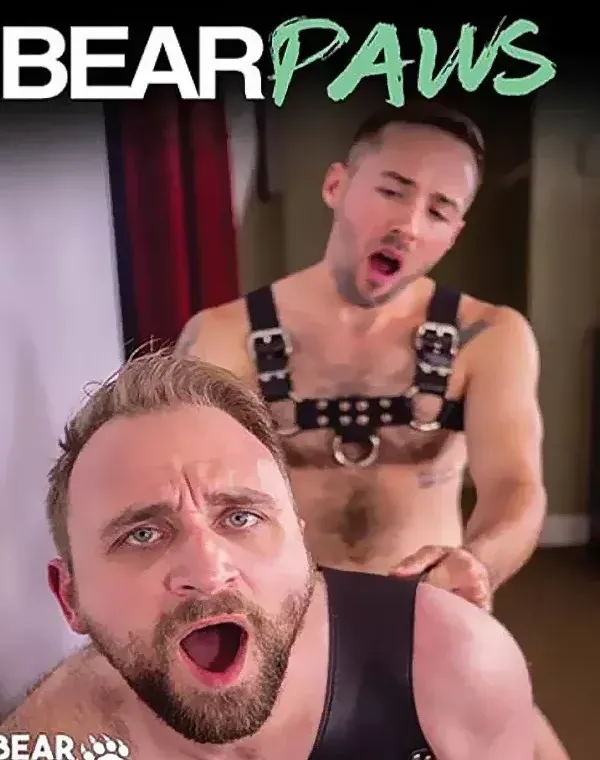 Bear Pawsダウンロード