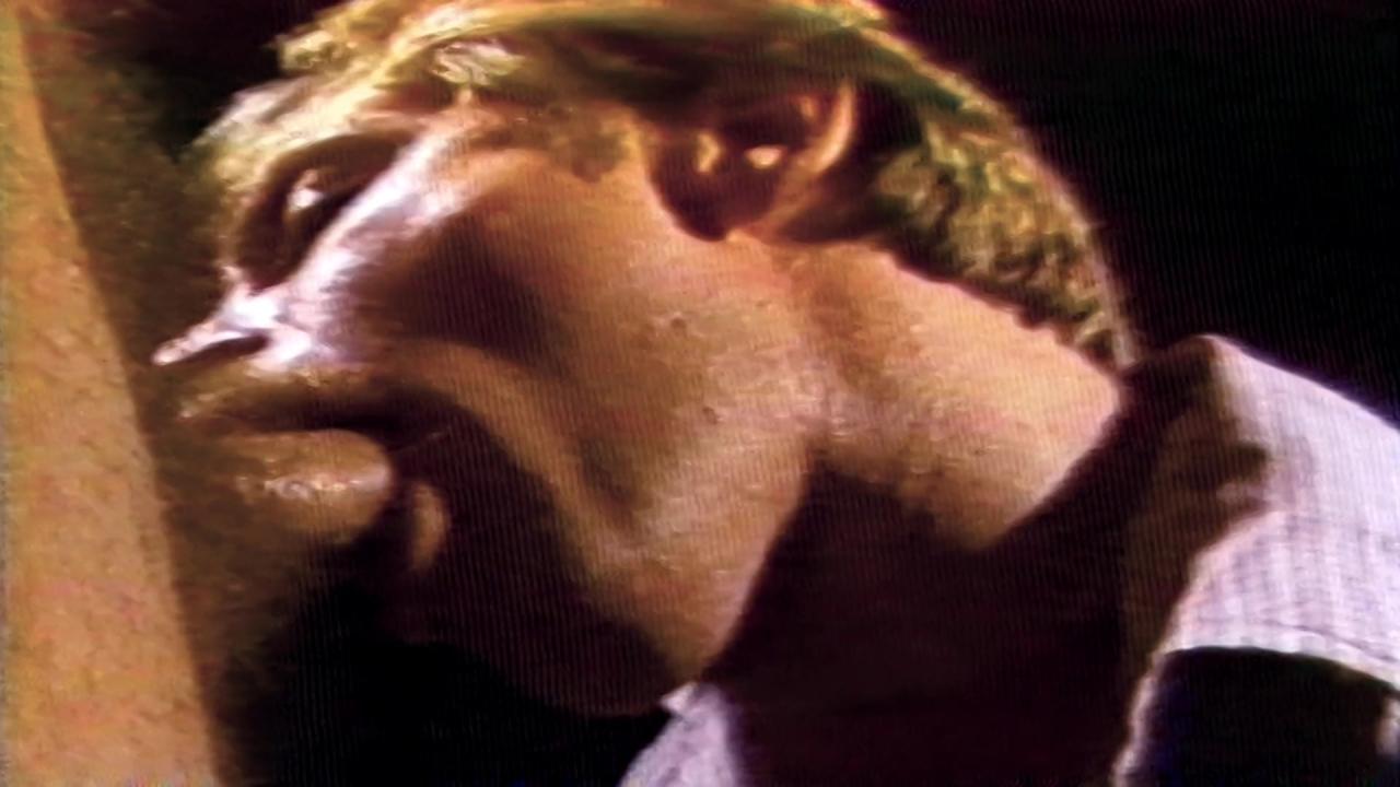 The Hustlers サンプル画像