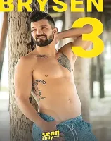 Brysen 3
