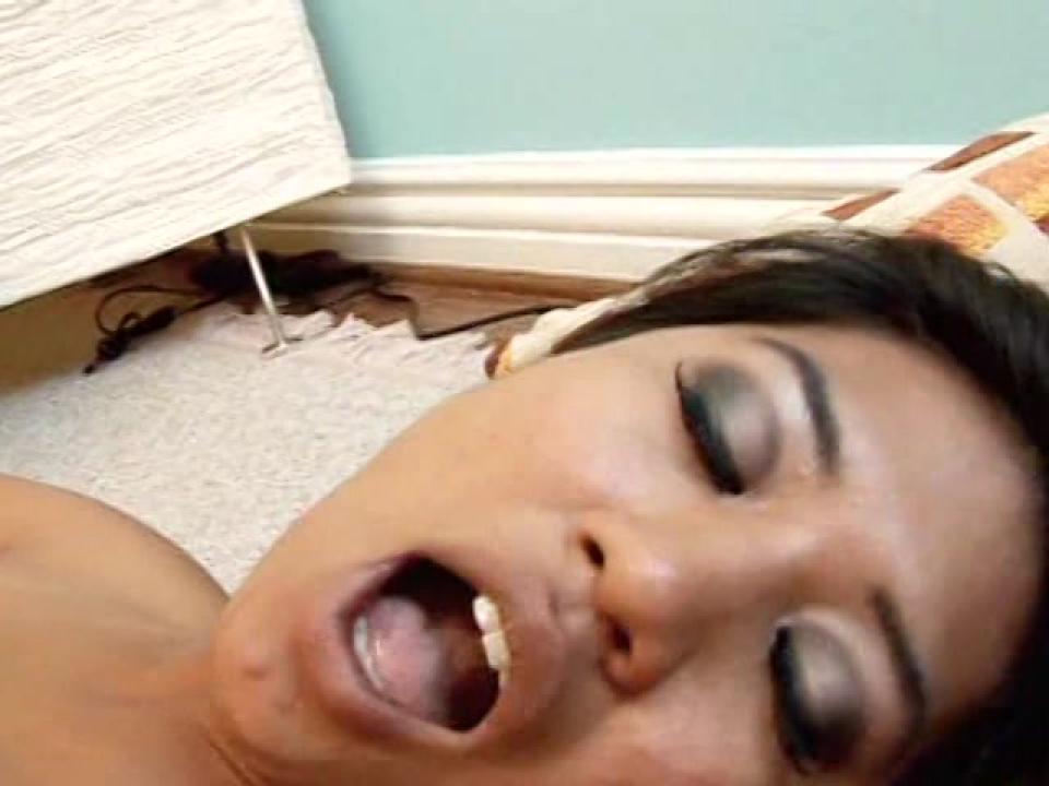 Asian Lesbians サンプル画像
