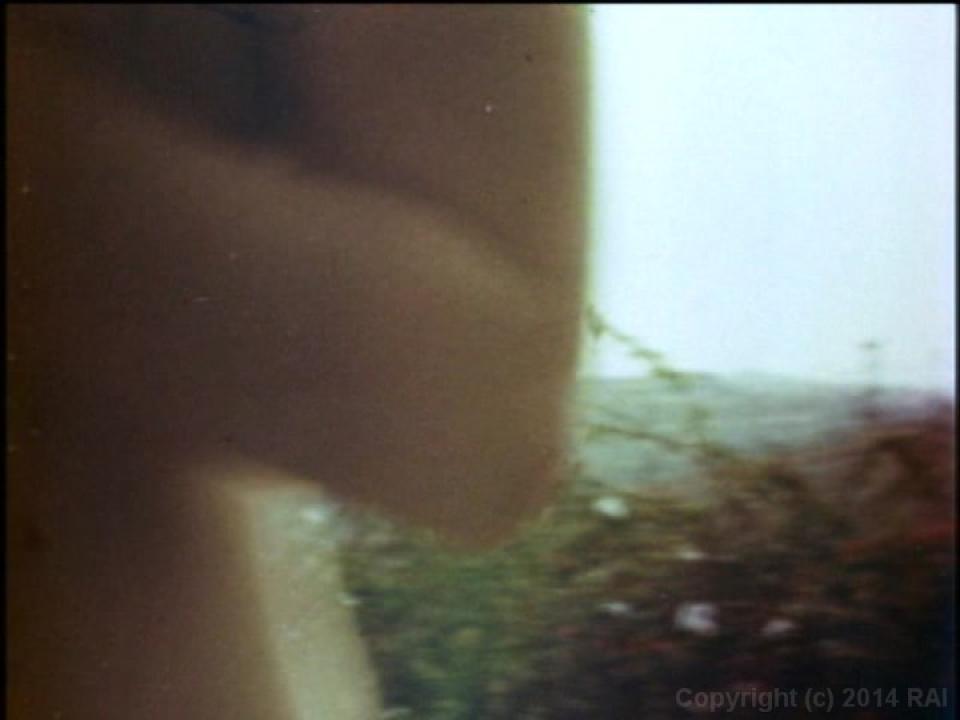 Nympho Cycler Plus The Lost Films Of Casey Larrain サンプル画像0