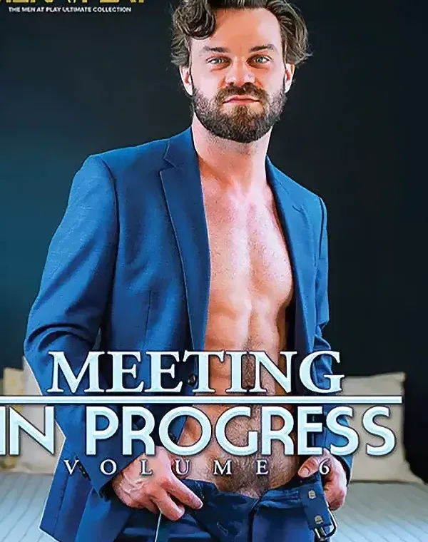 Meeting In Progress 6ダウンロード