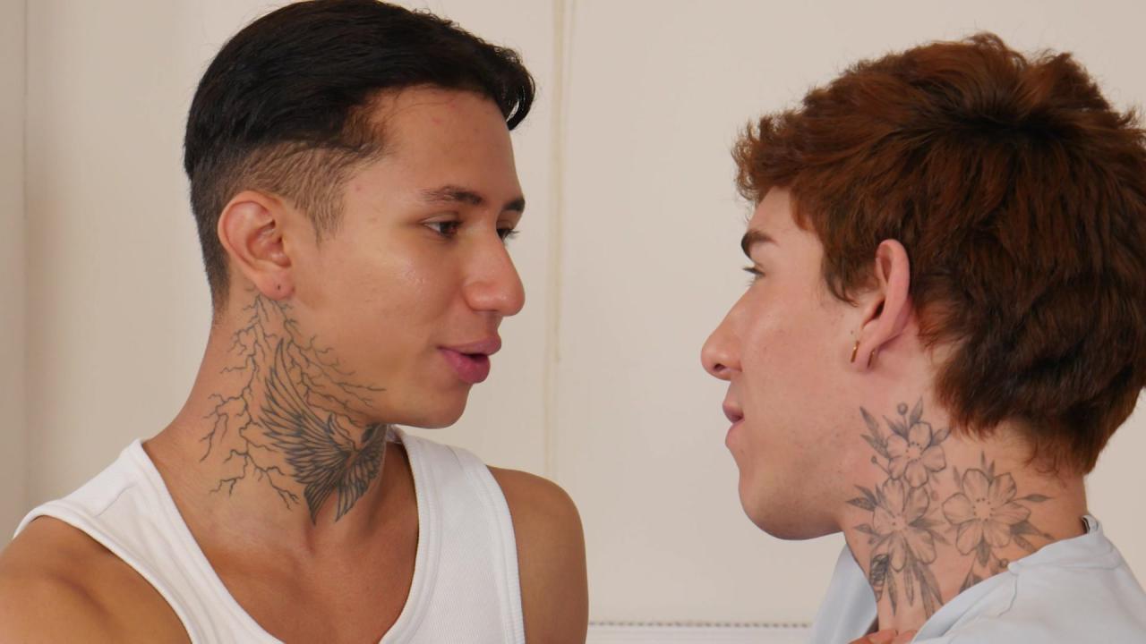 Hung Twinks 16 サンプル画像
