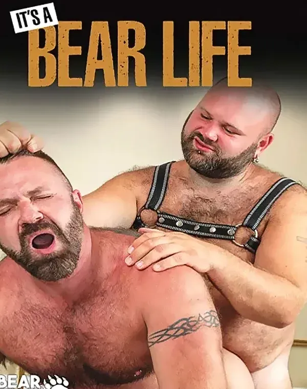 It's A Bear Lifeダウンロード