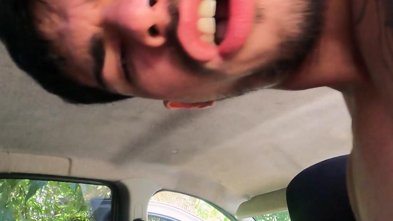 Ride Share Dicks 4 サンプル画像
