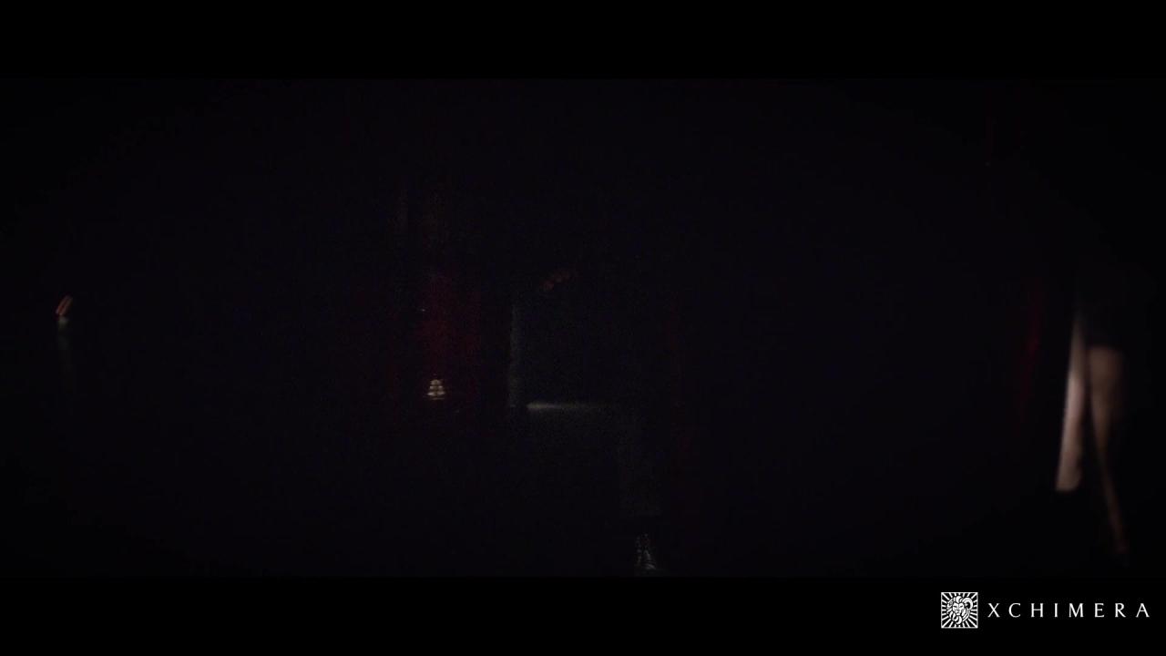 XChimera サンプル画像