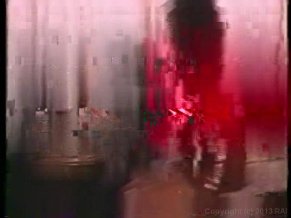 Honey Wilder Triple Feature 1 サンプル画像8